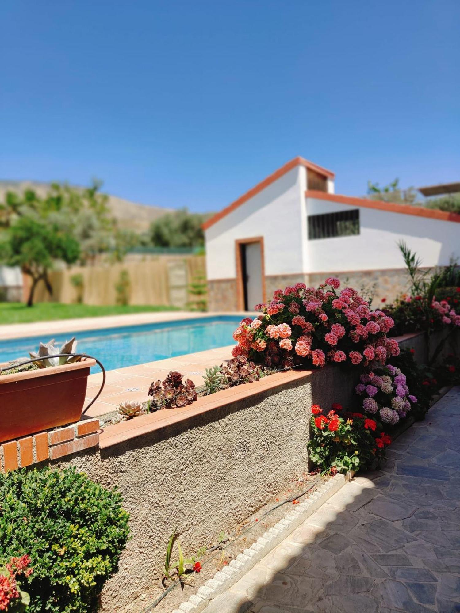 Casa Rural Las Cuatro Flores Orgiva Εξωτερικό φωτογραφία