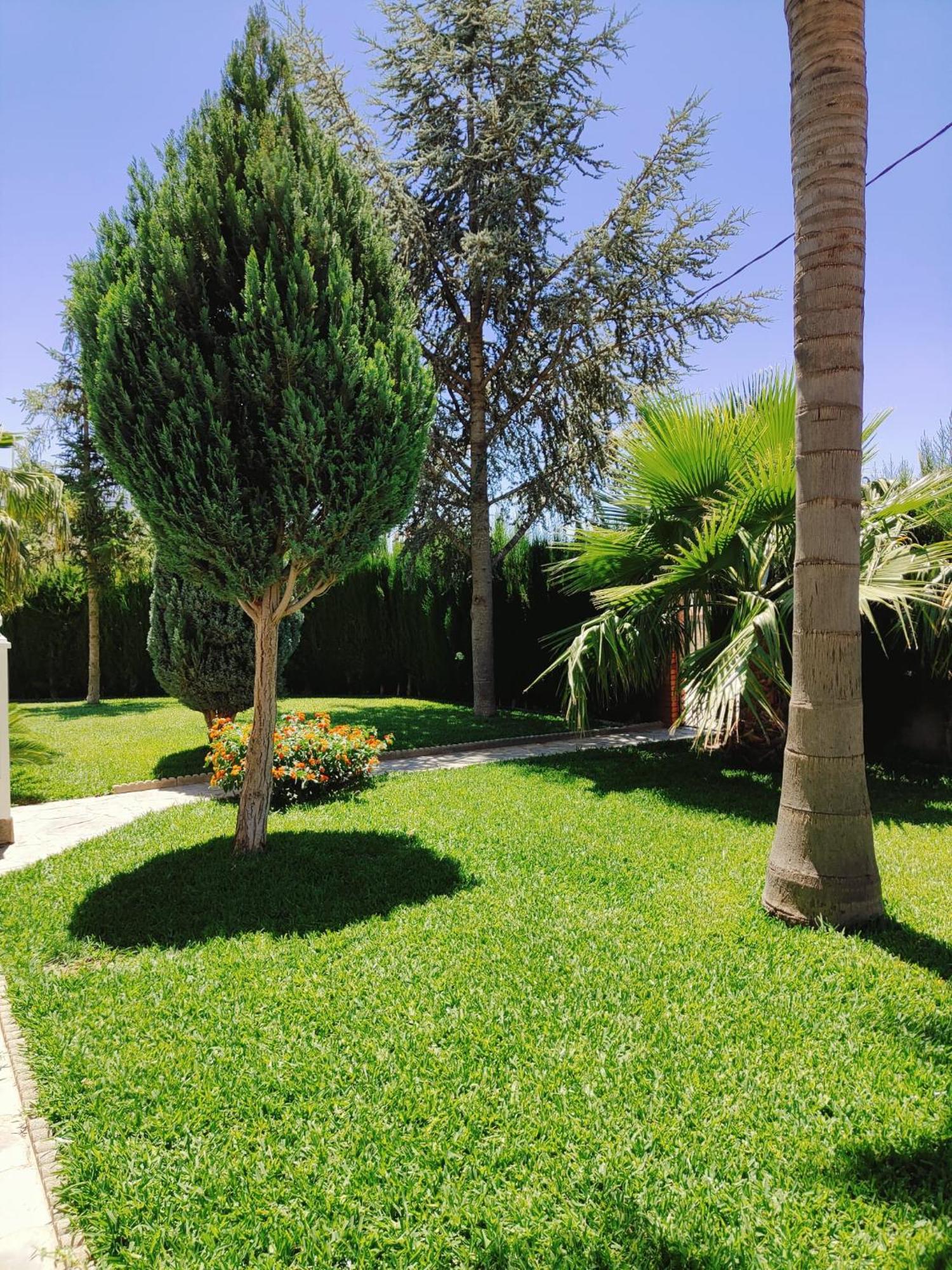 Casa Rural Las Cuatro Flores Orgiva Εξωτερικό φωτογραφία